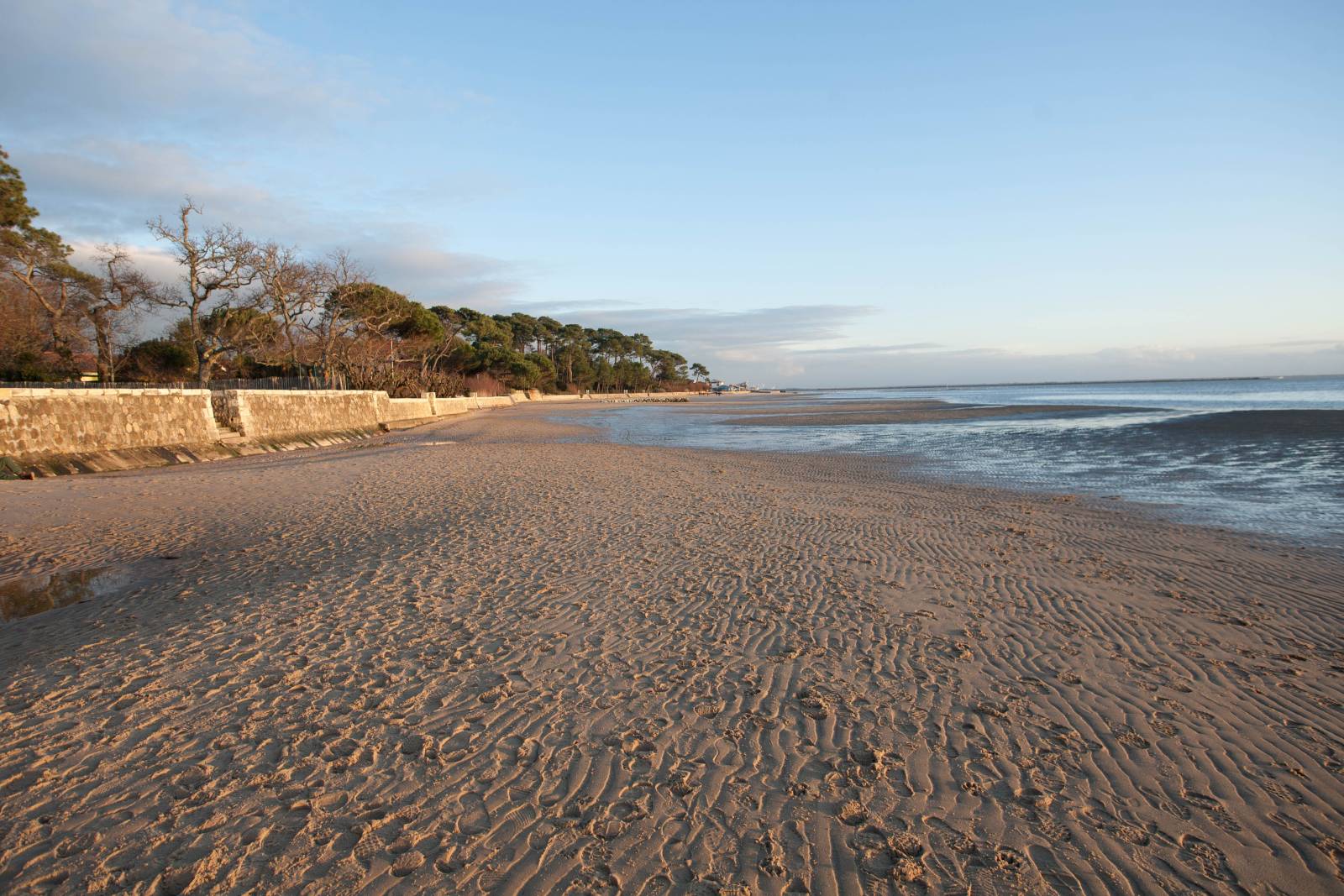 Vente de biens immobiliers à Taussat : achat d'une maison sur le bassin d'arcachon
