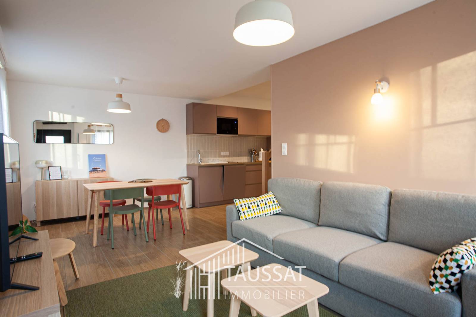 APPARTEMENT MEUBLE T2 EN DUPLEX-CASSY CENTRE