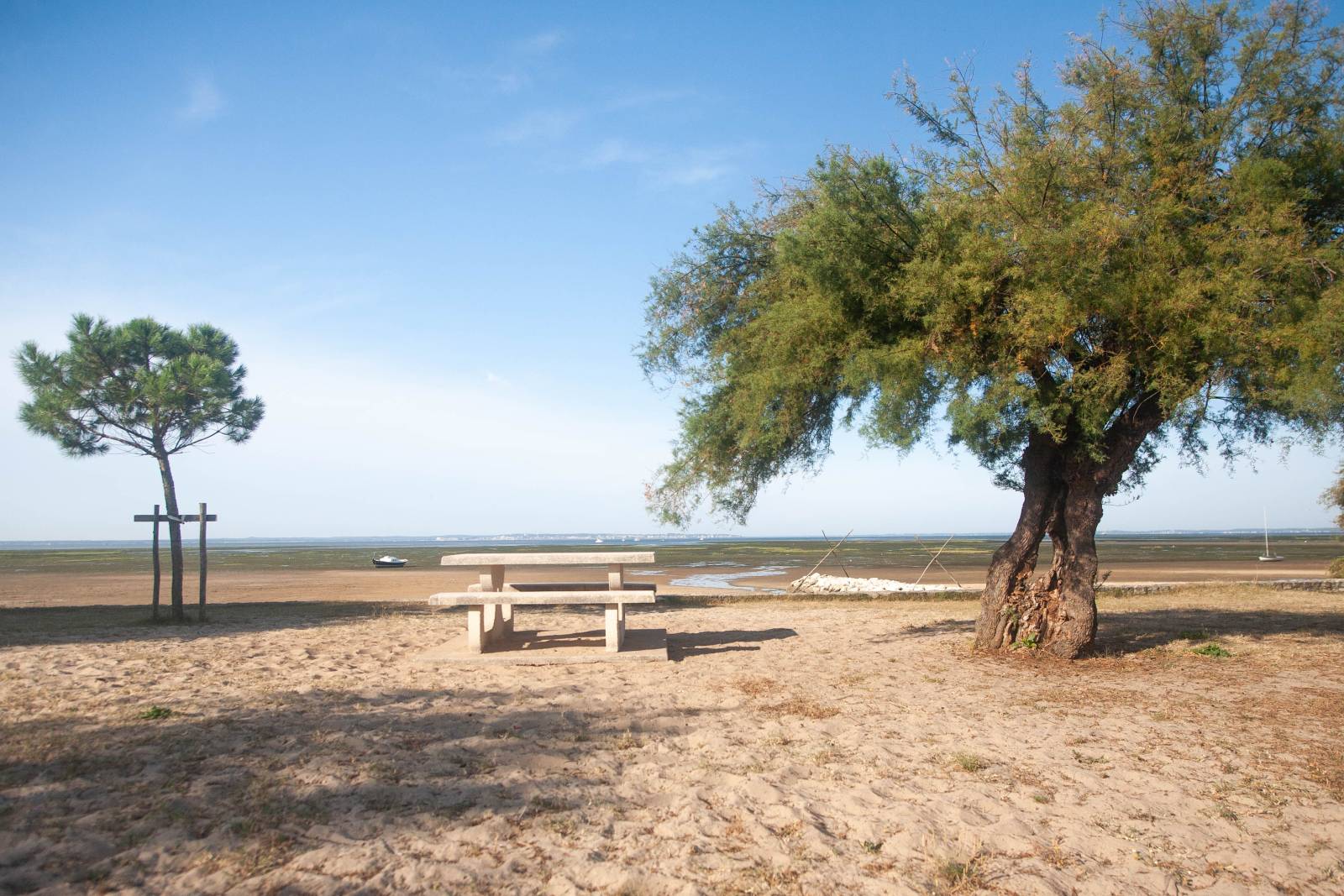 TERRAIN CONSTRUCTIBLE _ TAUSSAT